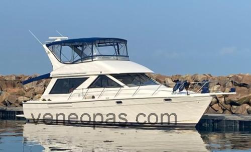 Bayliner 3988 Command Bridge Tekniset tiedot ja arvostelut